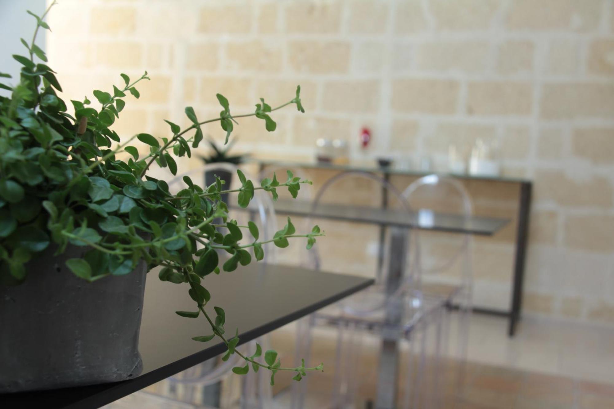 Lamia Room Rentals Matera Zewnętrze zdjęcie